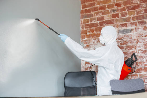 Best Water Damage & Mold Remediation  in Huber Heights, OH