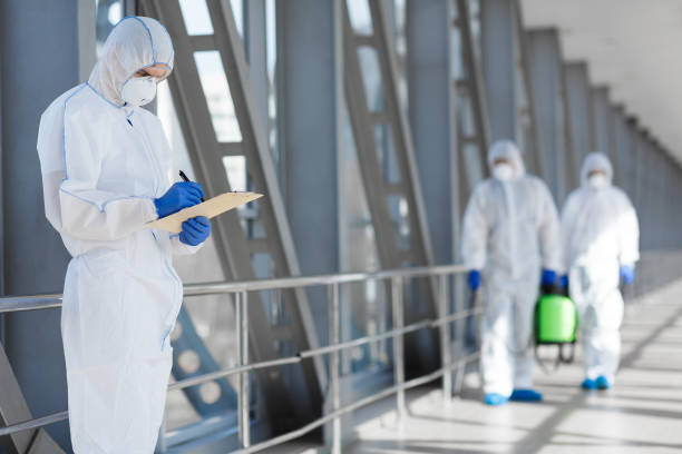 Best Mold-Related Health Consultation  in Huber Heights, OH
