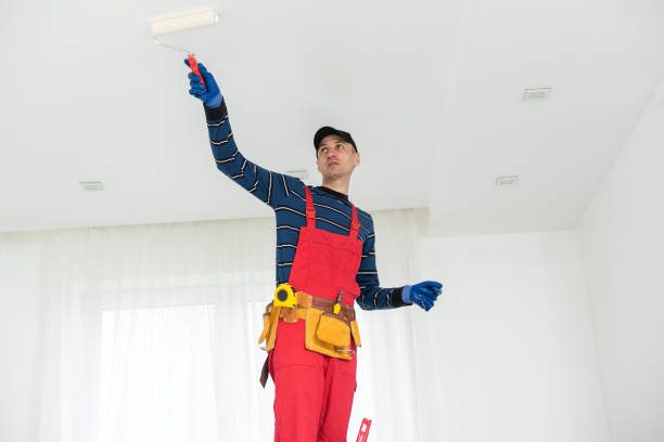 Best Environmental Consulting for Mold Prevention  in Huber Heights, OH