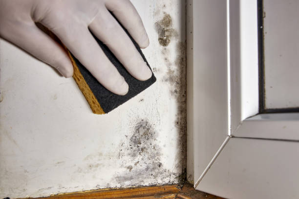 Best Post-Remediation Verification Testing  in Huber Heights, OH