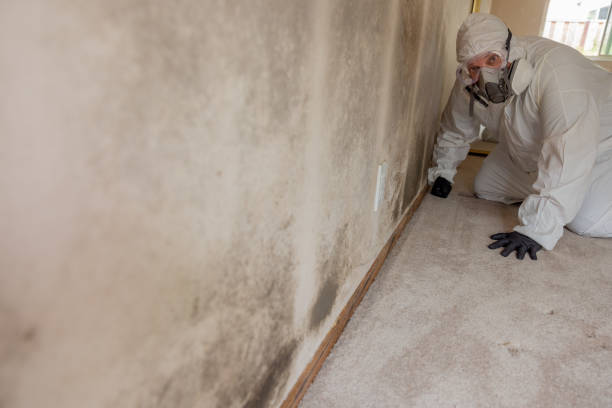 Best Asbestos and Lead Testing During Mold Inspection  in Huber Heights, OH